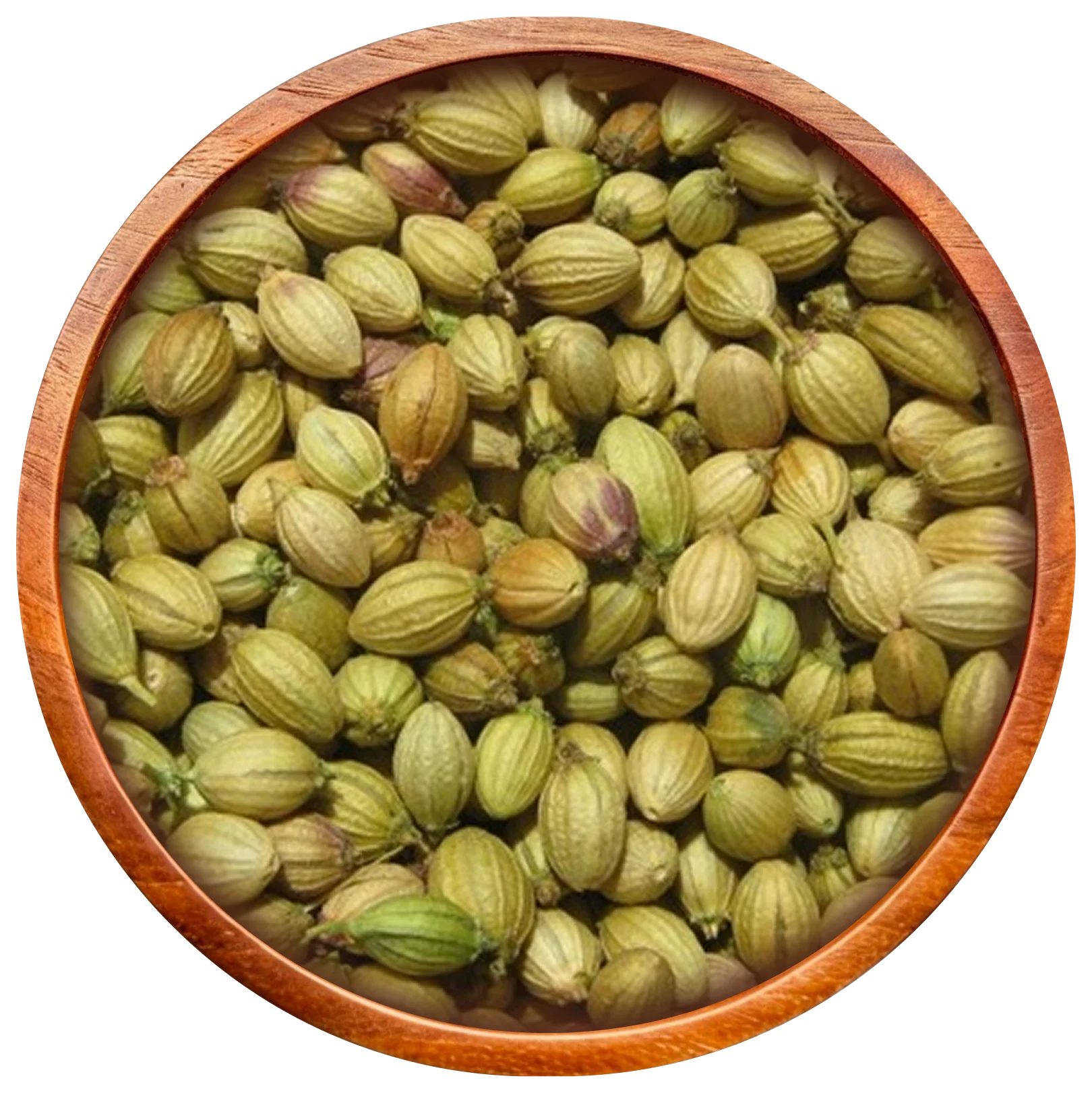 Coriander Seeds
