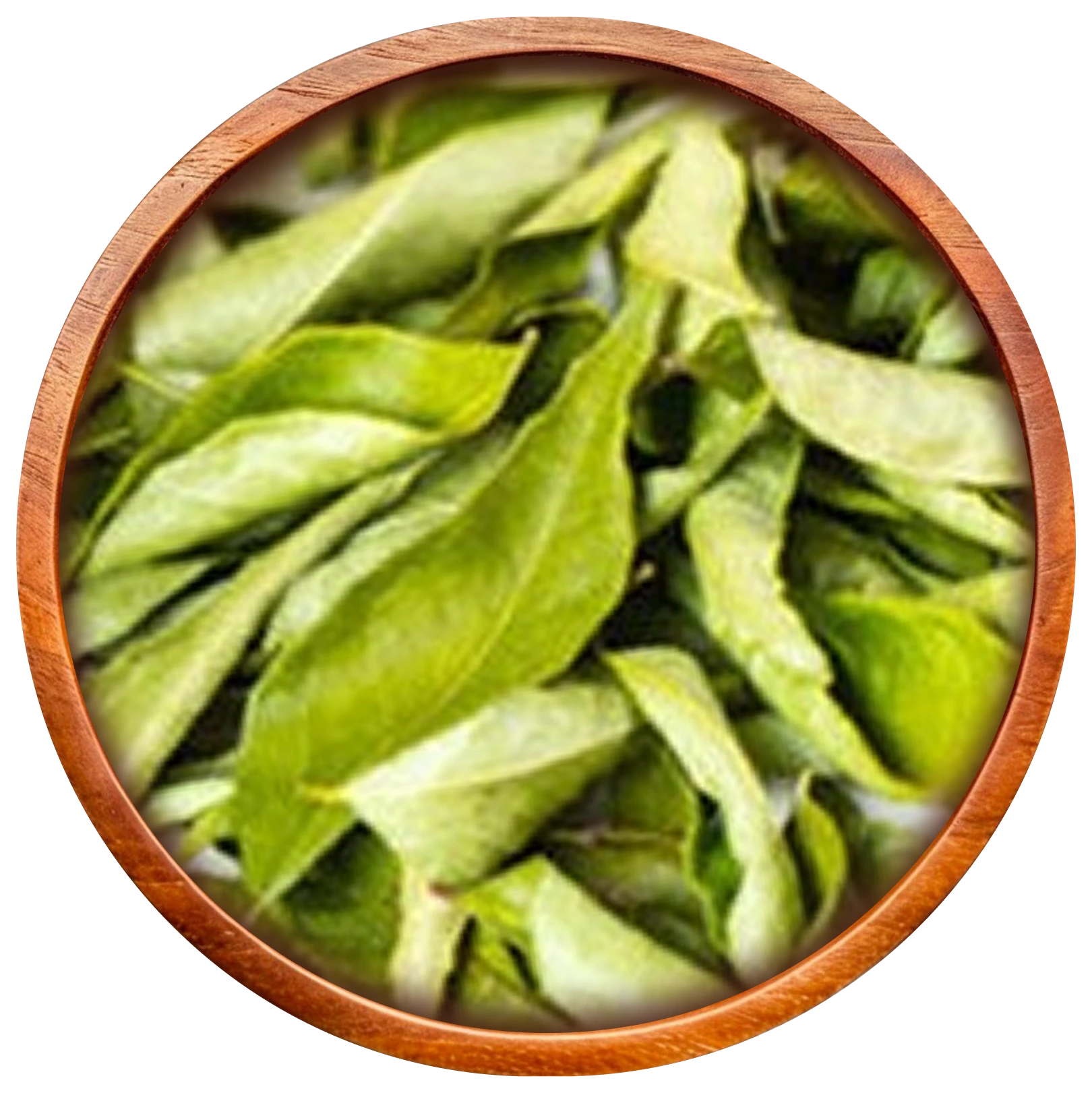 Dry Curry Leaves