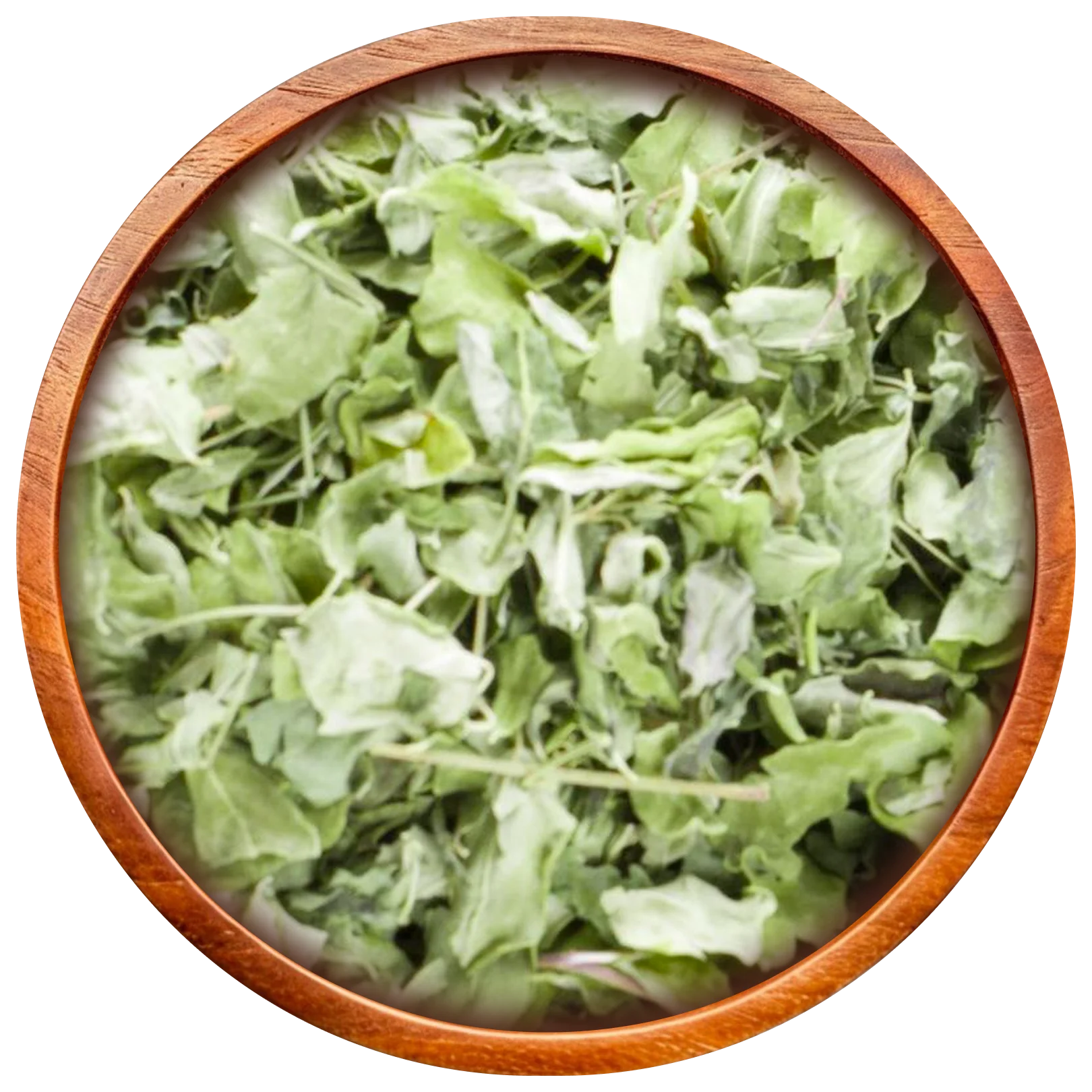 Moringa Leaves